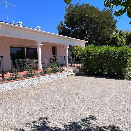 Beautiful Private Villa With Pool, Boliqueime, Loule Zewnętrze zdjęcie
